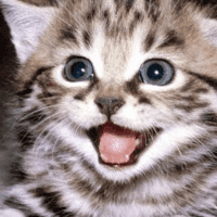 Артем Ковардин