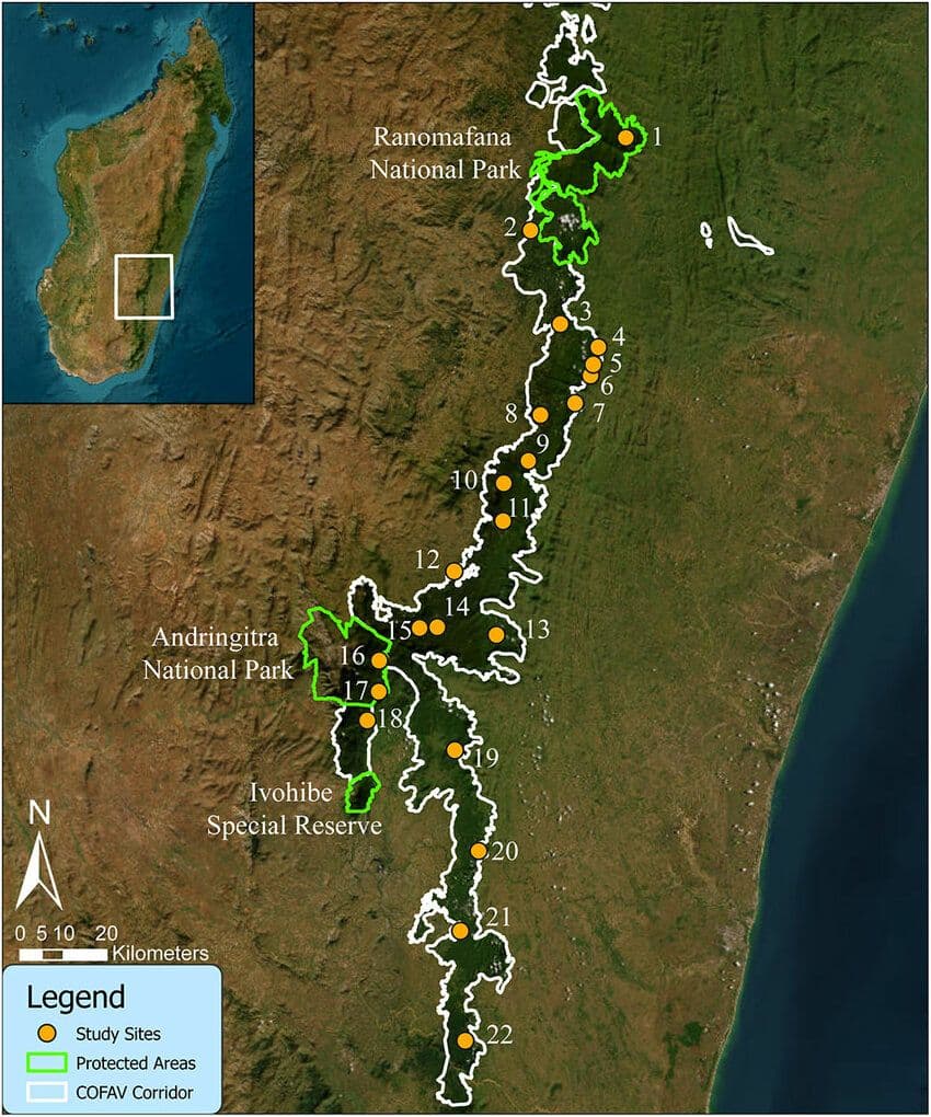 Map-of-the-COFAV-corridor-white-outline-and-connected-protected-areas-green-outline.jpg