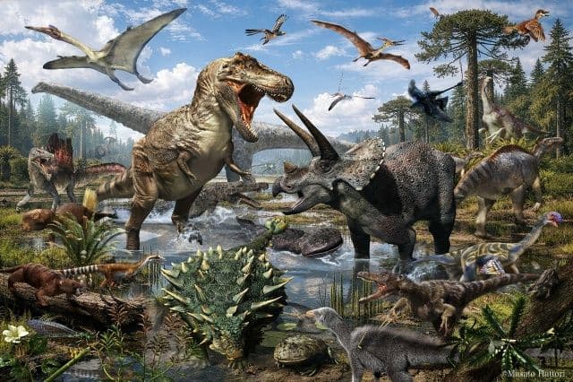 меловая панорама.jpg