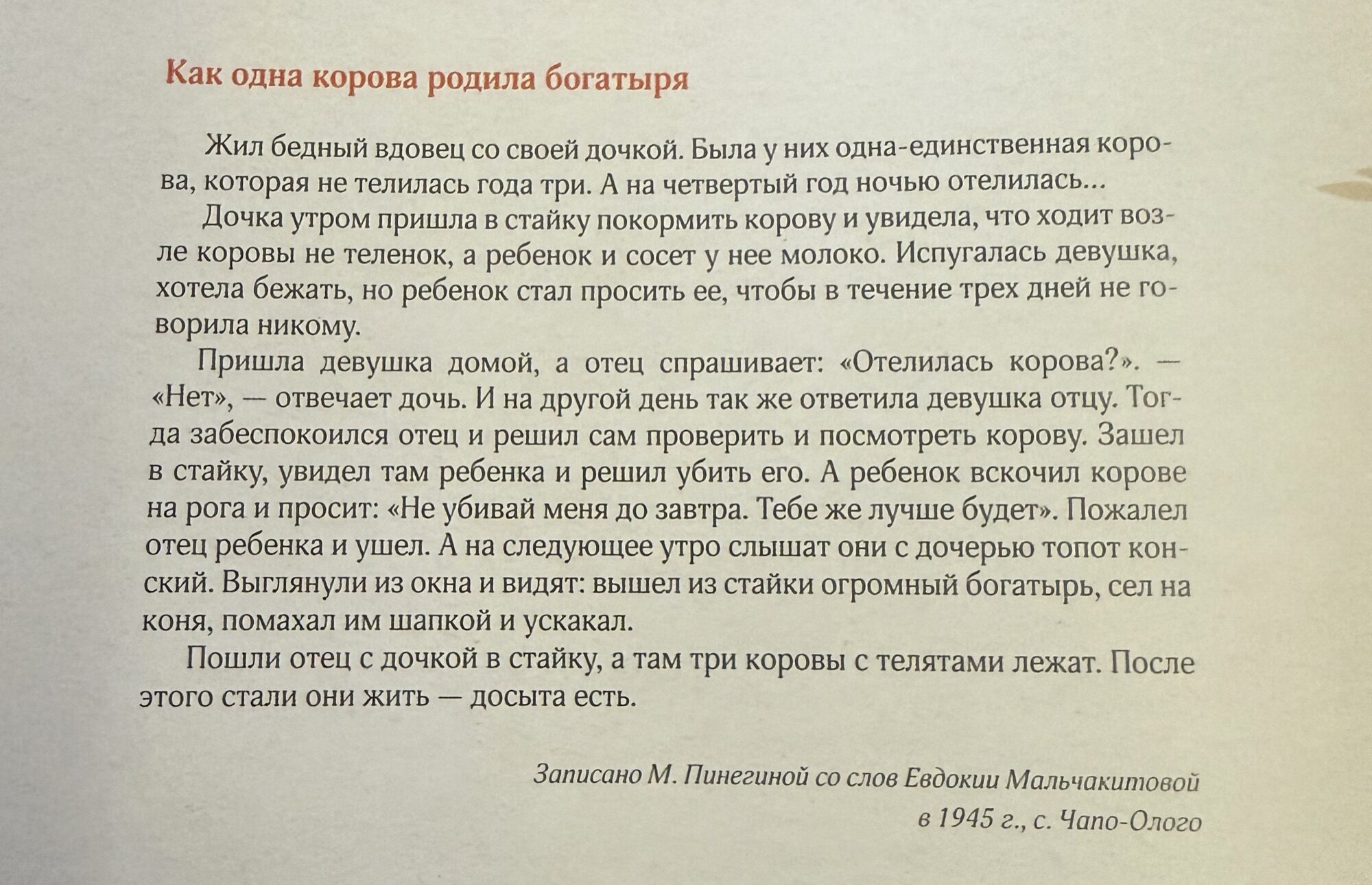 Как одна корова родила богатыря