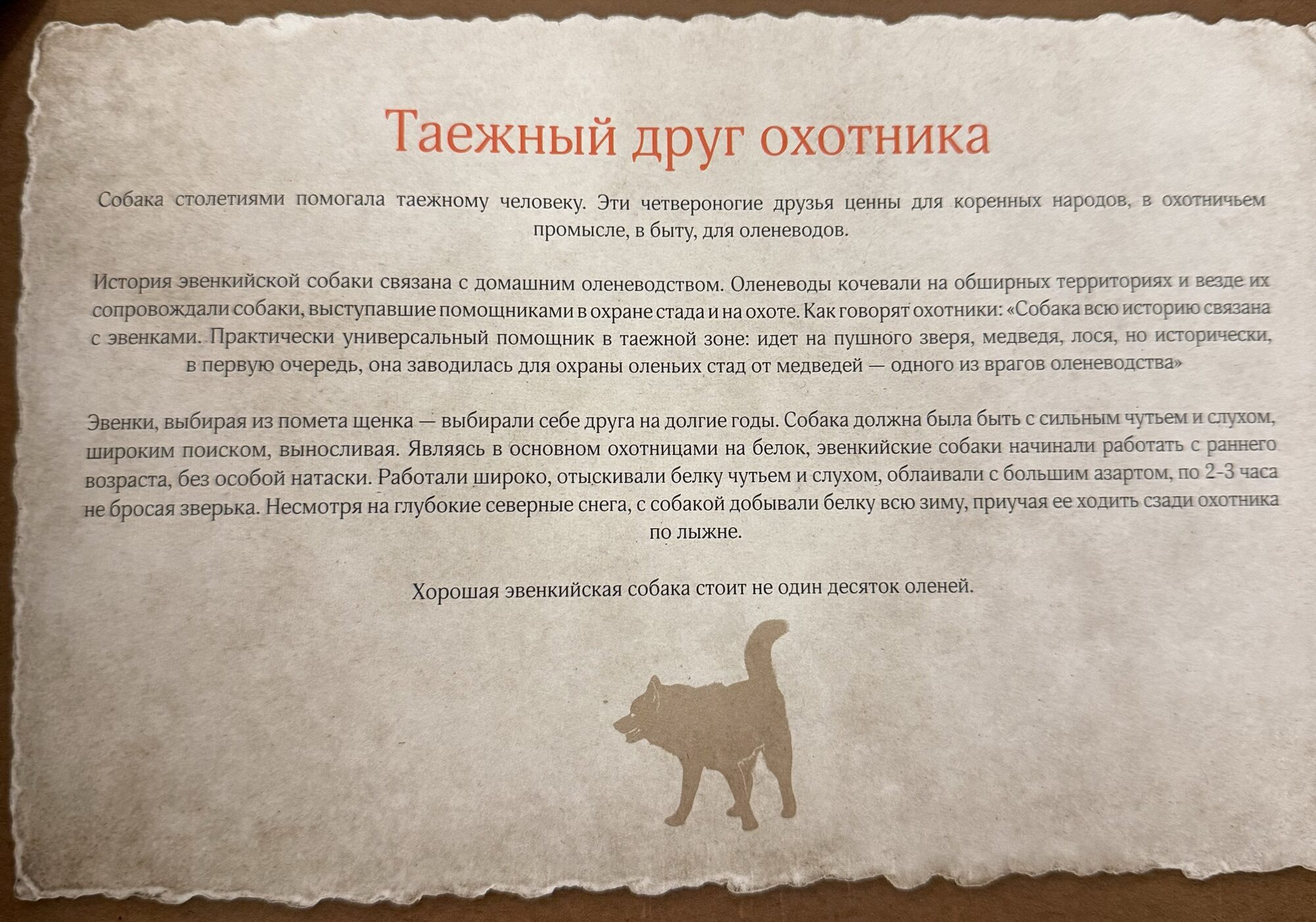 О эвенкийской собаке